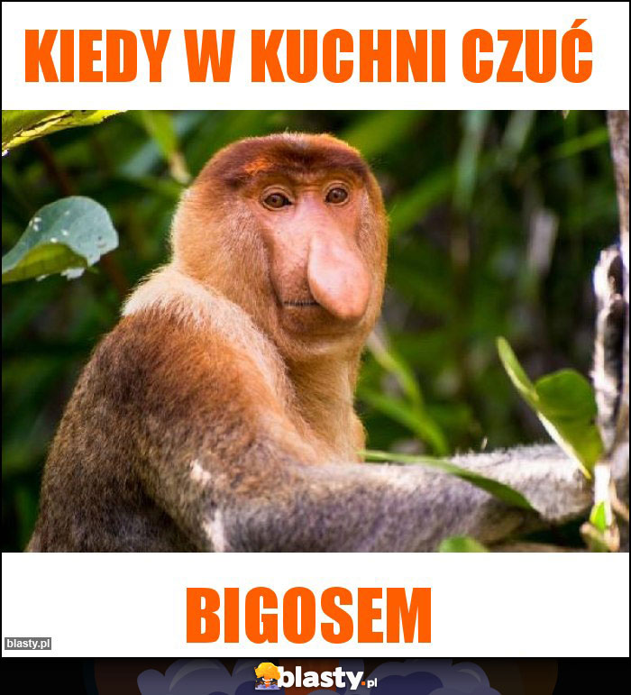 Kiedy w kuchni czuć Kiedy w kuchni czuć