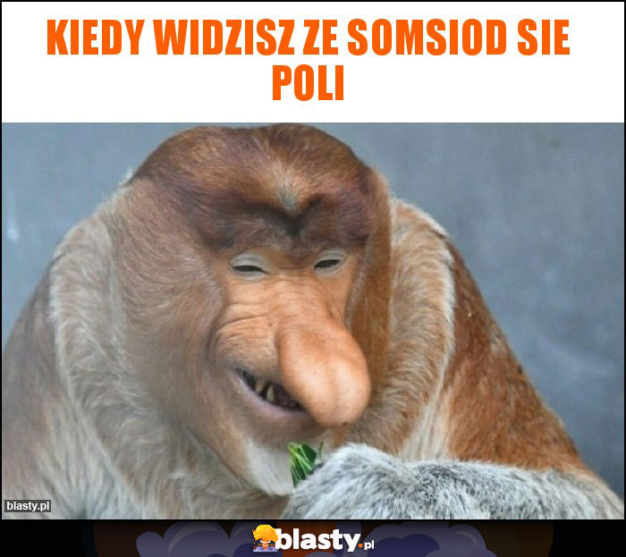 Kiedy widzisz ze somsiod sie poli Kiedy widzisz ze somsiod sie poli