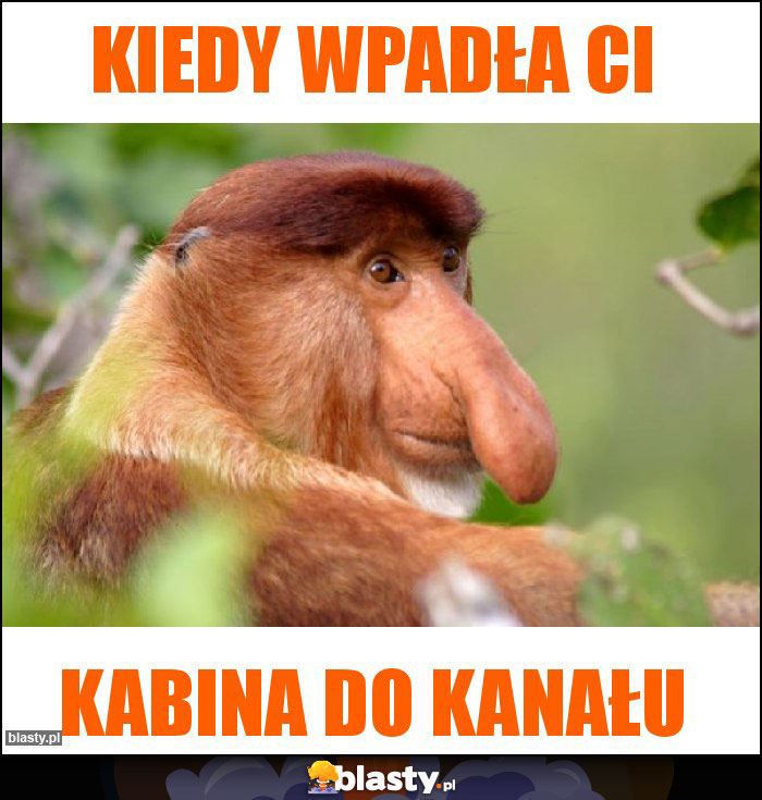 Kiedy wpadła Ci Kiedy wpadła Ci