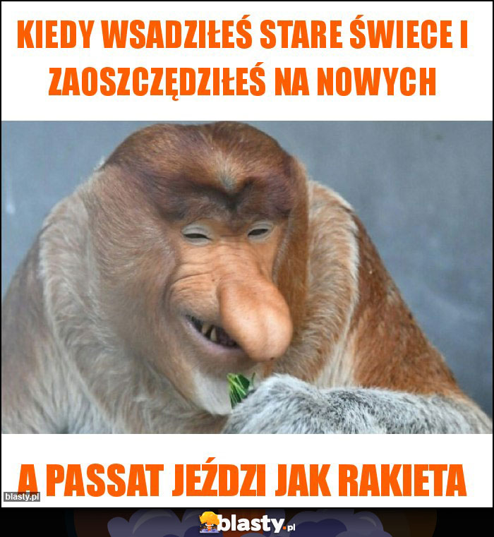 Kiedy wsadziłeś stare świece i zaoszczędziłeś na nowych Kiedy wsadziłeś stare świece i zaoszczędziłeś na nowych