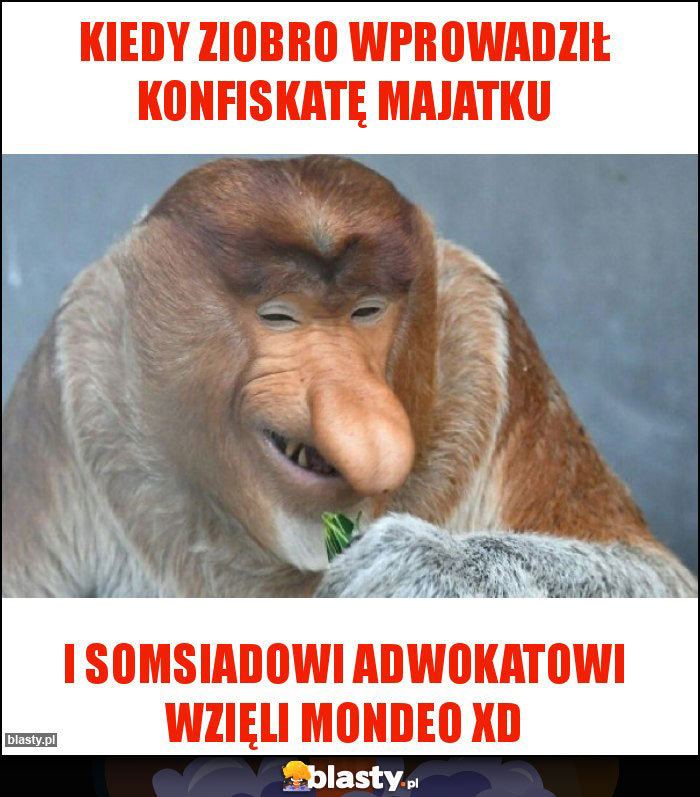 Kiedy Ziobro wprowadził konfiskatę majatku Kiedy Ziobro wprowadził konfiskatę majatku