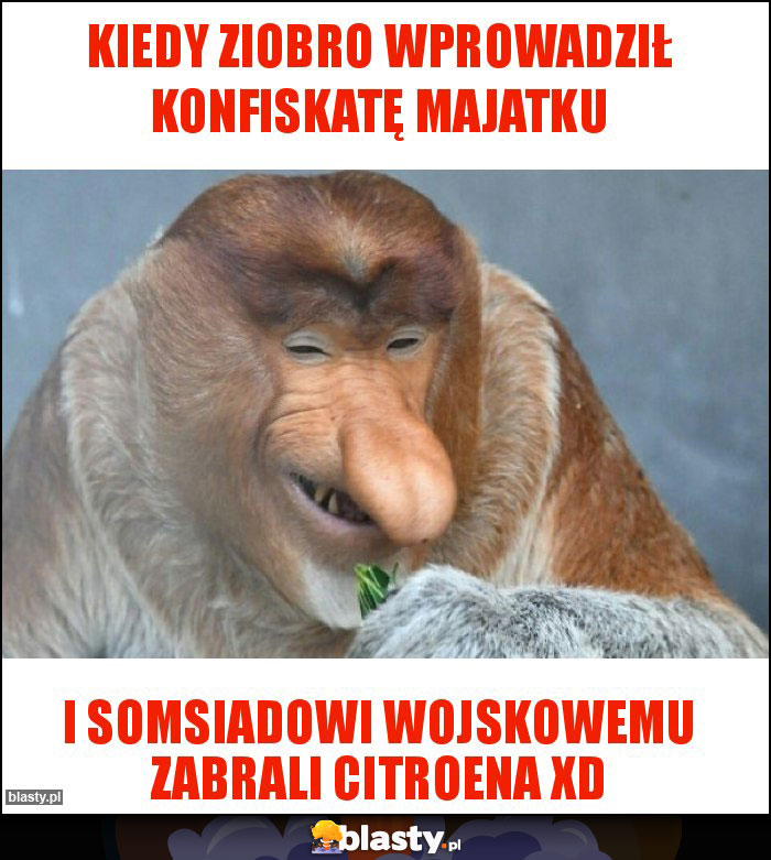 Kiedy Ziobro wprowadził konfiskatę majatku Kiedy Ziobro wprowadził konfiskatę majatku