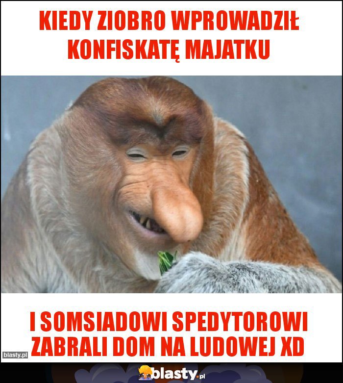 Kiedy Ziobro wprowadził konfiskatę majatku Kiedy Ziobro wprowadził konfiskatę majatku