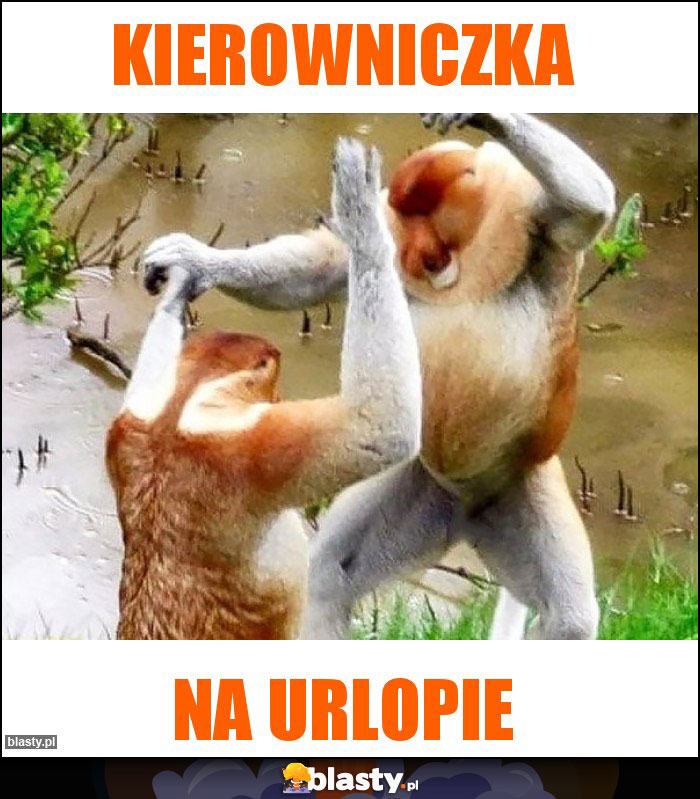 Kierowniczka Kierowniczka
