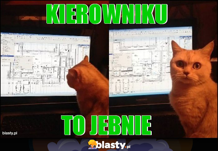 Kierowniku Kierowniku