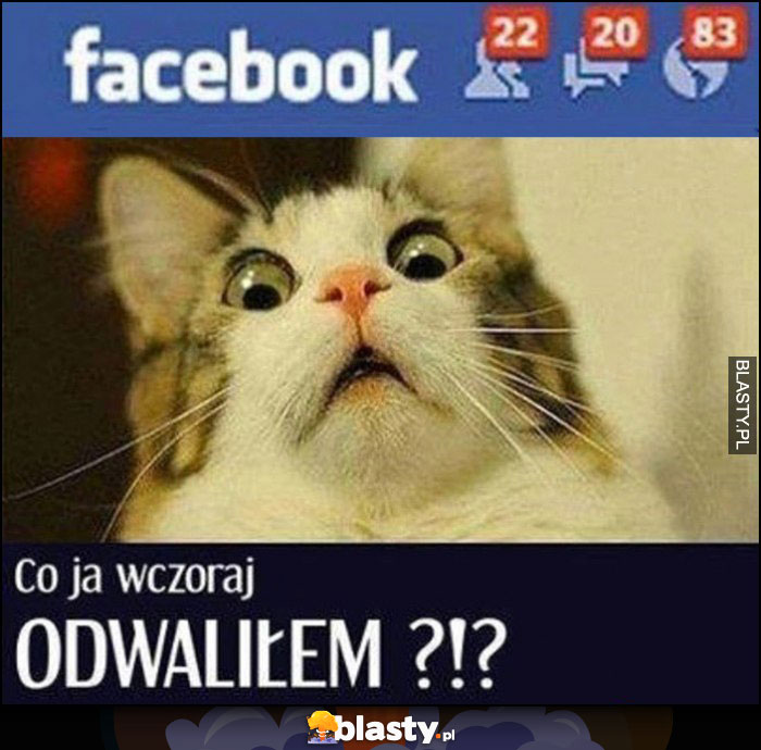 Kot dużo powiadomień na facebooku co ja wczoraj odwaliłem