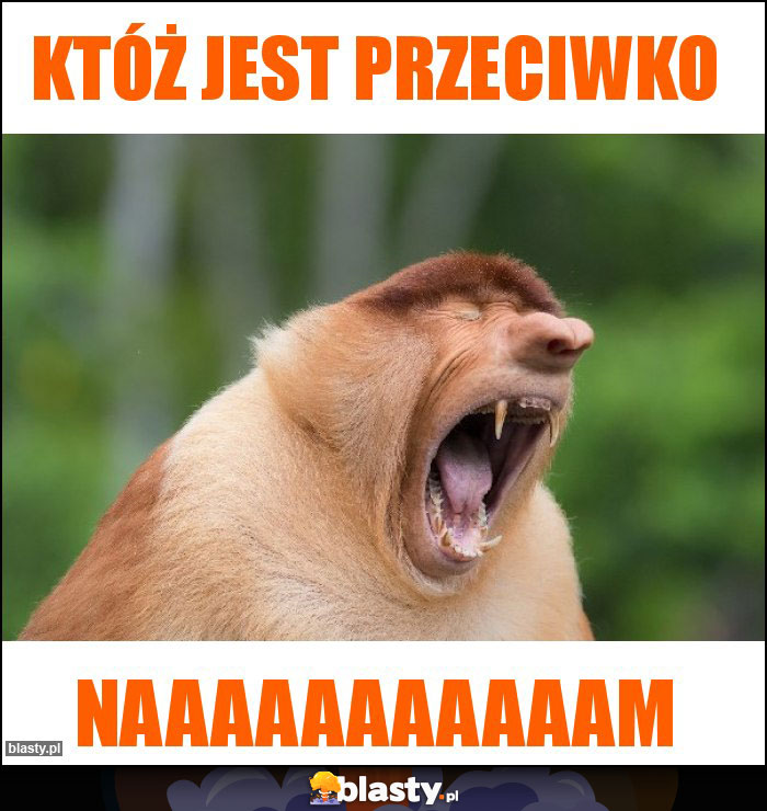 Któż jest przeciwko