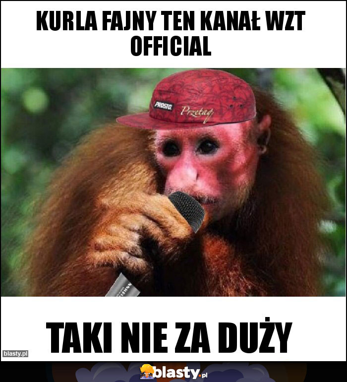 Kurla fajny ten kanał WZT official Kurla fajny ten kanał WZT official