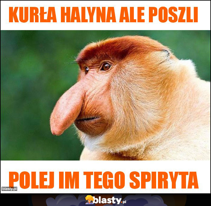 Kurła Halyna ale poszli