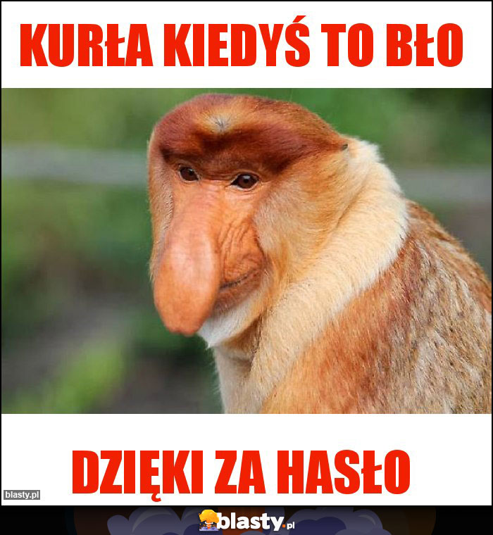 Kurła kiedyś to bło Kurła kiedyś to bło