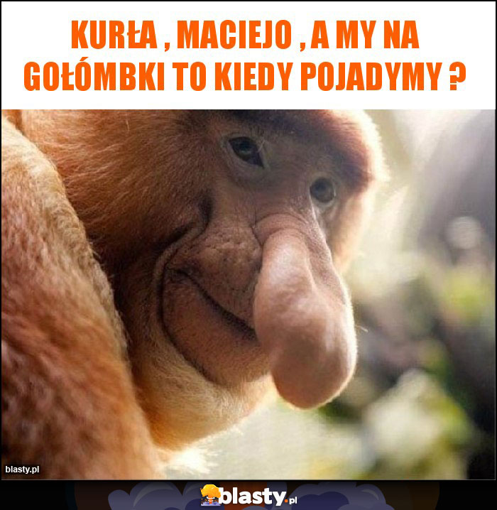 kurła , maciejo , a my na gołómbki to kiedy pojadymy ? kurła , maciejo , a my na gołómbki to kiedy pojadymy ?