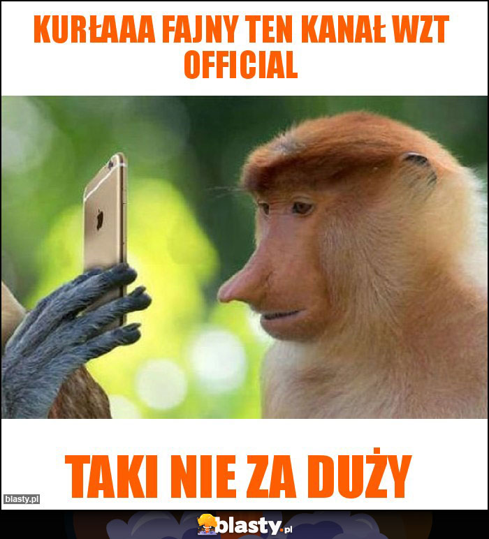 Kurłaaa fajny ten kanał WZT official Kurłaaa fajny ten kanał WZT official