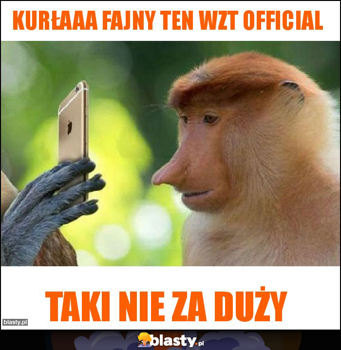 Kurłaaa fajny ten WZT Official Kurłaaa fajny ten WZT Official
