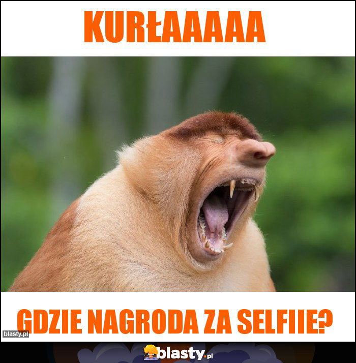 Kurłaaaaa