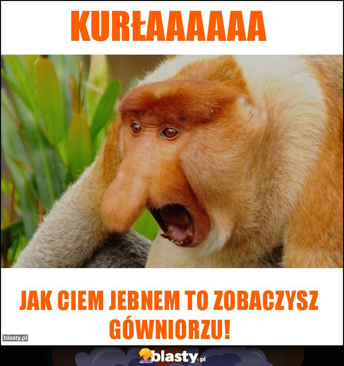 Kurłaaaaaa Kurłaaaaaa