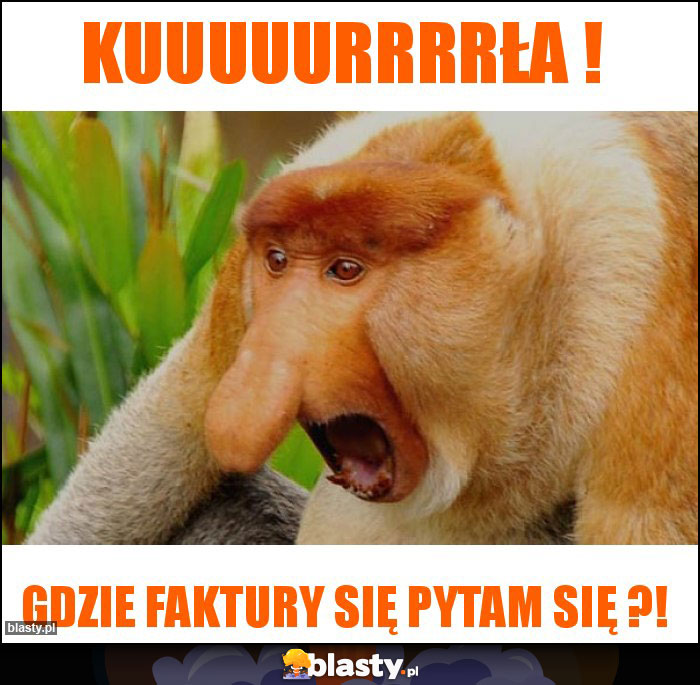 Kuuuuurrrrła ! Kuuuuurrrrła !