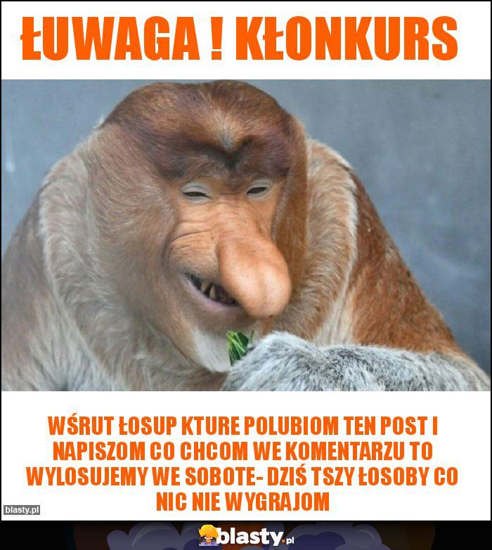 ŁUWAGA ! KŁONKURS ŁUWAGA ! KŁONKURS