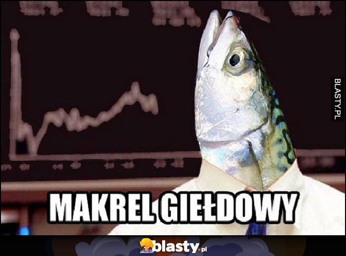 Makrel giełdowy ryba makrela w koszuli