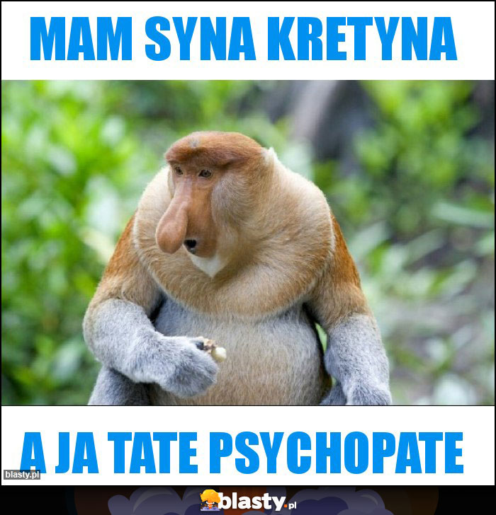 Mam syna kretyna Mam syna kretyna
