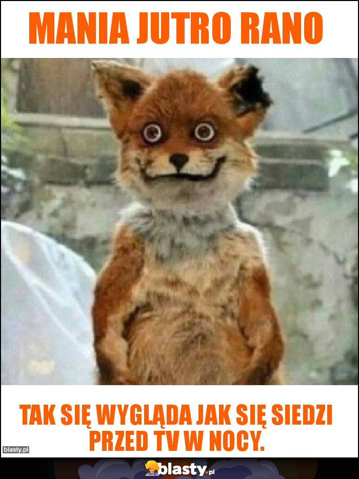 Mania jutro rano Mania jutro rano