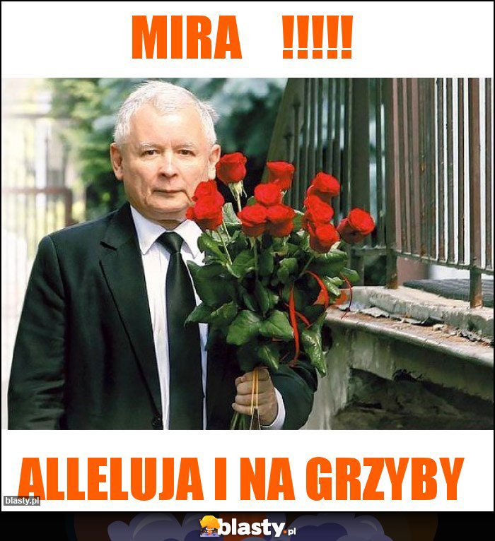 Mira !!!!! Mira !!!!!