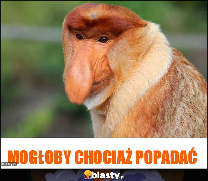 Mogłoby chociaż popadać Mogłoby chociaż popadać