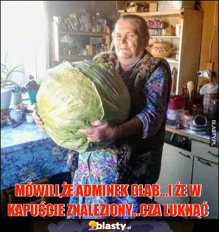 mówili,że adminek głąb...i że w kapuście znaleziony...cza luknąć mówili,że adminek głąb...i że w kapuście znaleziony...cza luknąć