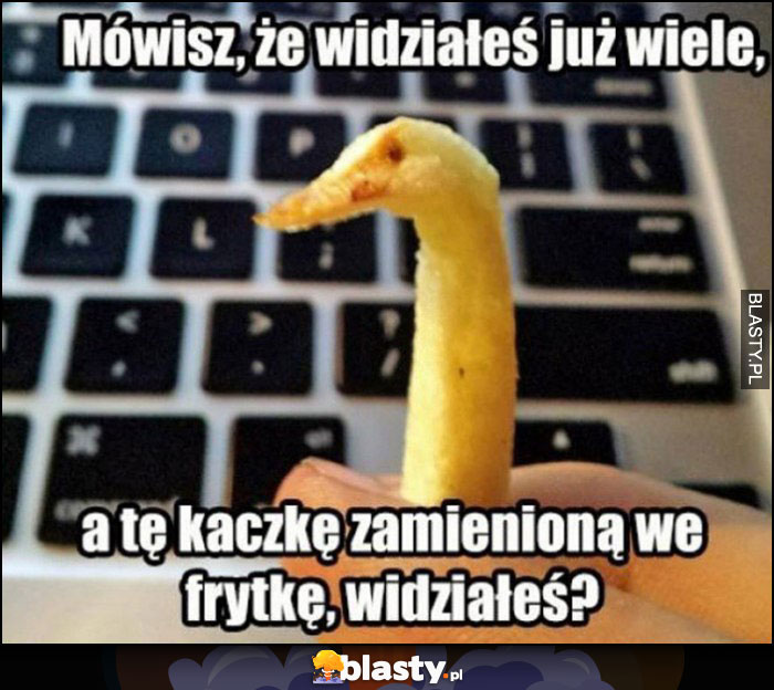 Mówisz, że widziałeś wiele, a tę kaczkę zamienioną we frytkę widziałeś?