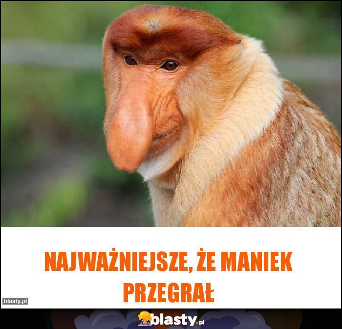 Najważniejsze, że Maniek przegrał Najważniejsze, że Maniek przegrał