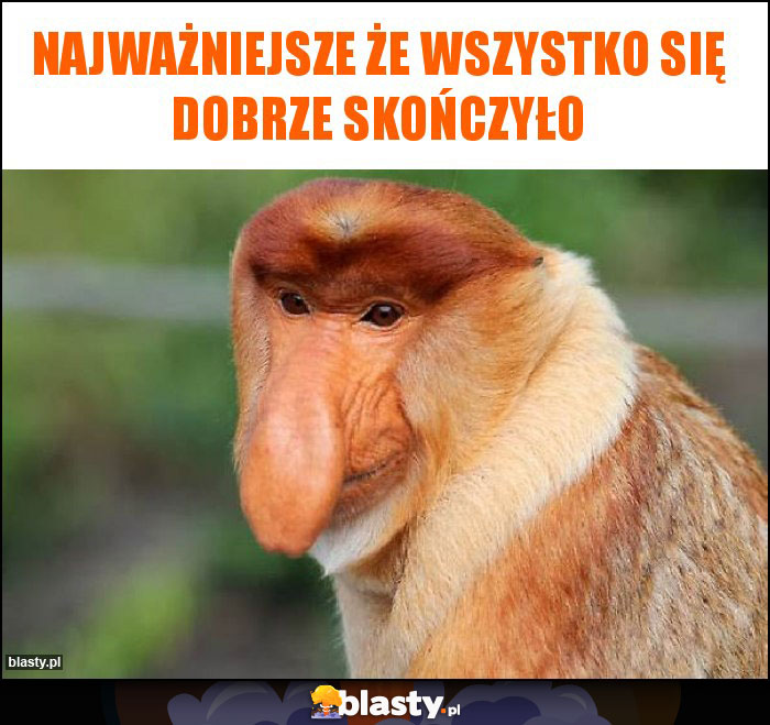 Najważniejsze że wszystko się dobrze skończyło Najważniejsze że wszystko się dobrze skończyło