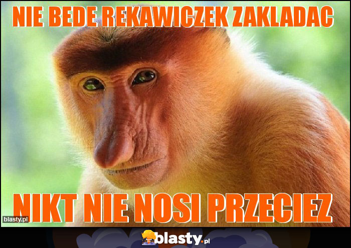 Nie bede rekawiczek zakladac Nie bede rekawiczek zakladac