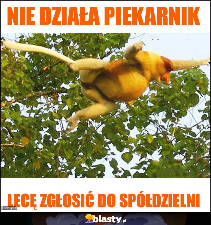 Nie działa piekarnik Nie działa piekarnik