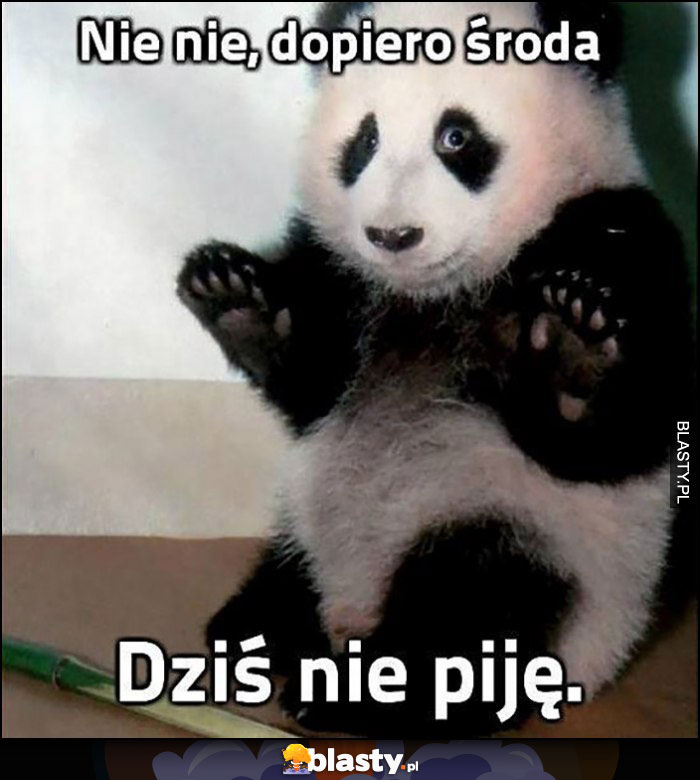 Nie nie, dopiero środa, dziś nie piję panda