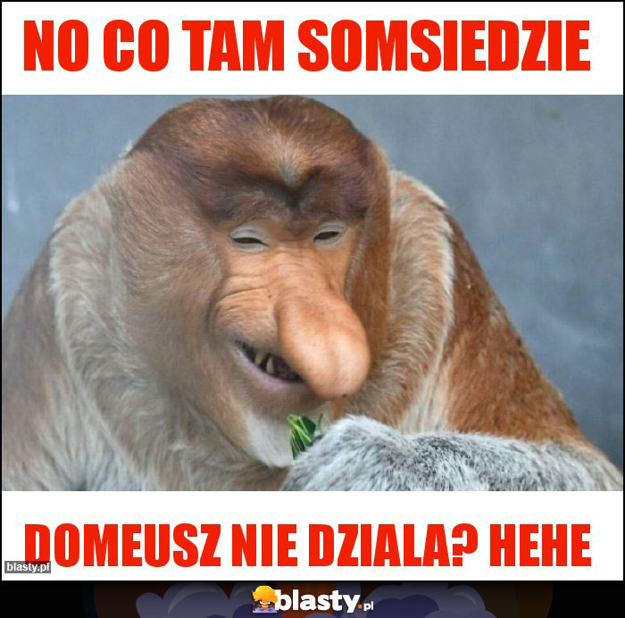 No co tam somsiedzie No co tam somsiedzie