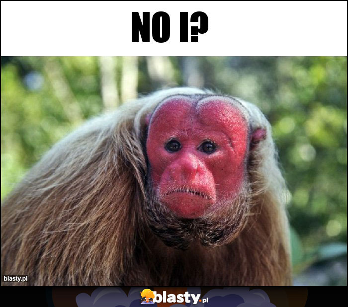 NO I?