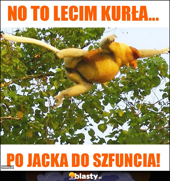 No to lecim kurła... No to lecim kurła...