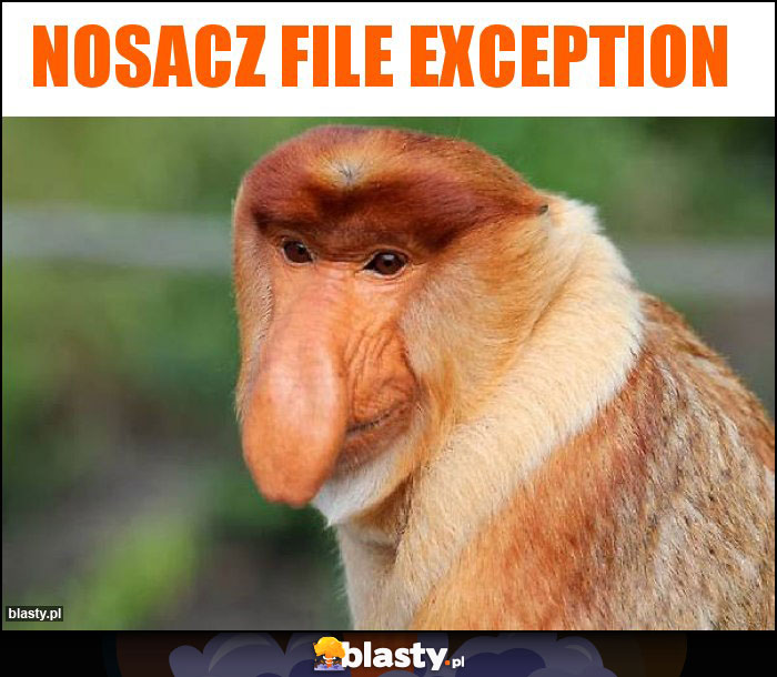 Nosacz file exception Nosacz file exception