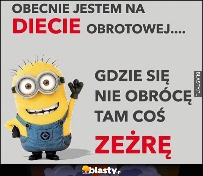 Obecnie jestem na diecie obrotowej, gdzie się nie obróce tam coś zeżrę Minionek