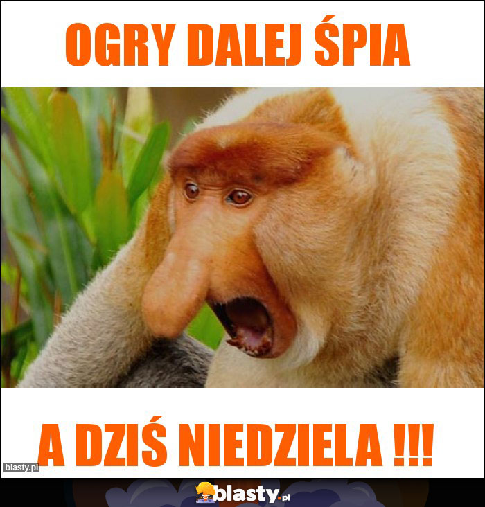 Ogry dalej śpia Ogry dalej śpia