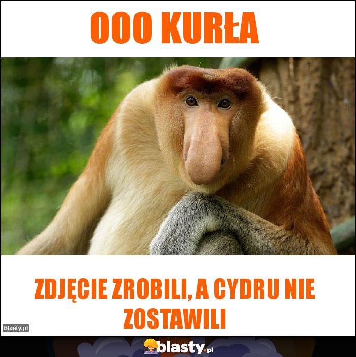 ooo kurła