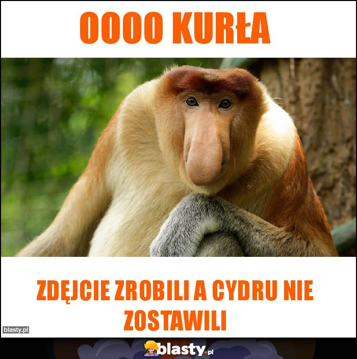 Oooo kurła Oooo kurła