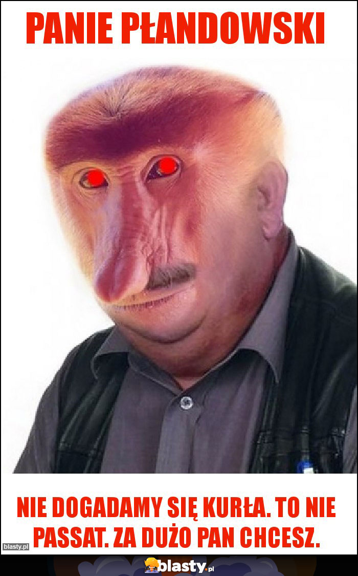 Panie Płandowski Panie Płandowski