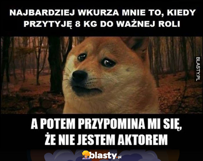 Pieseł doge najbardziej wkurza mnie to, kiedy przytyję 8kg do ważnej roli, a potem przypomina mi się, że nie jestem aktorem