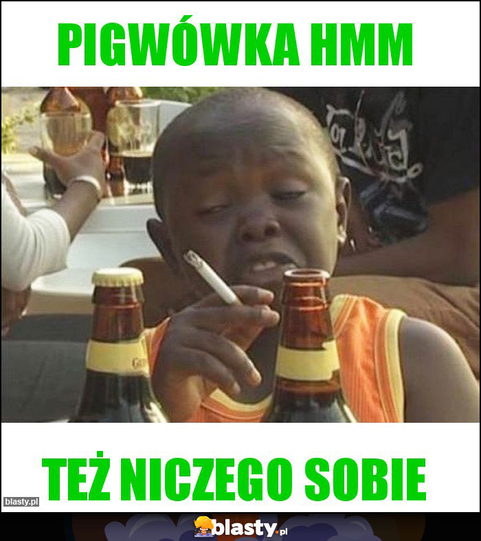 Pigwówka hmm Pigwówka hmm