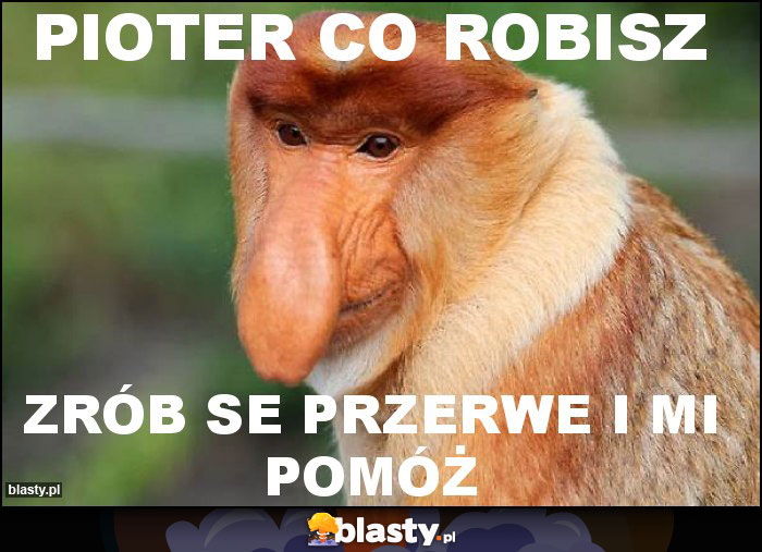 Pioter co robisz Pioter co robisz