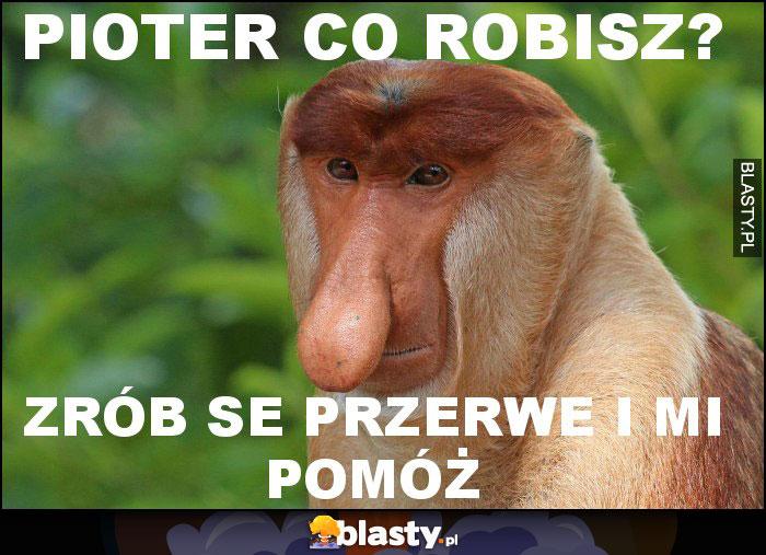 Pioter co robisz? Pioter co robisz?