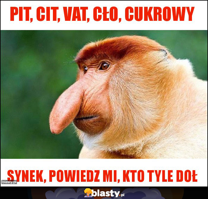 PIT, CIT, VAT, CŁO, CUKROWY PIT, CIT, VAT, CŁO, CUKROWY