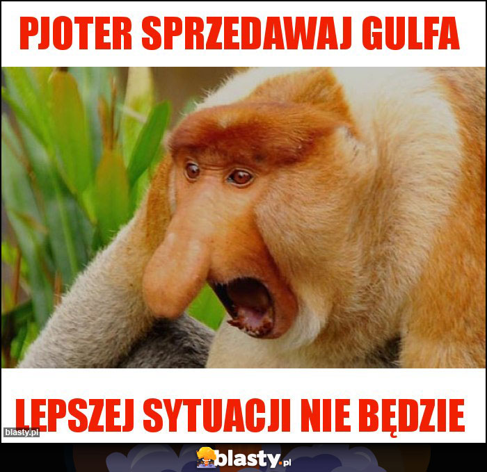 Pjoter sprzedawaj gulfa Pjoter sprzedawaj gulfa