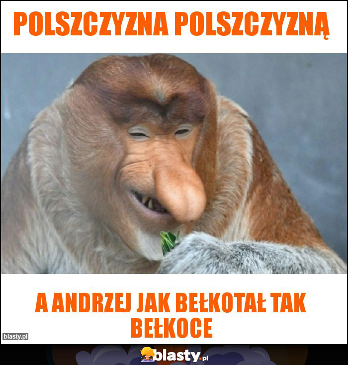 Polszczyzna polszczyzną Polszczyzna polszczyzną