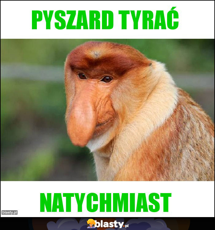 Pyszard tyrać Pyszard tyrać